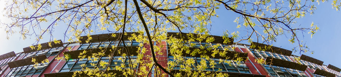 2026美加墨世界杯官网